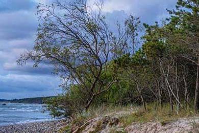 2024年度中菲友谊日体育节隆重开幕，中菲男篮友谊赛