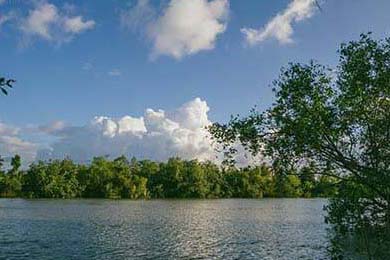 2026赛季的核心看点预判，61-62赛季